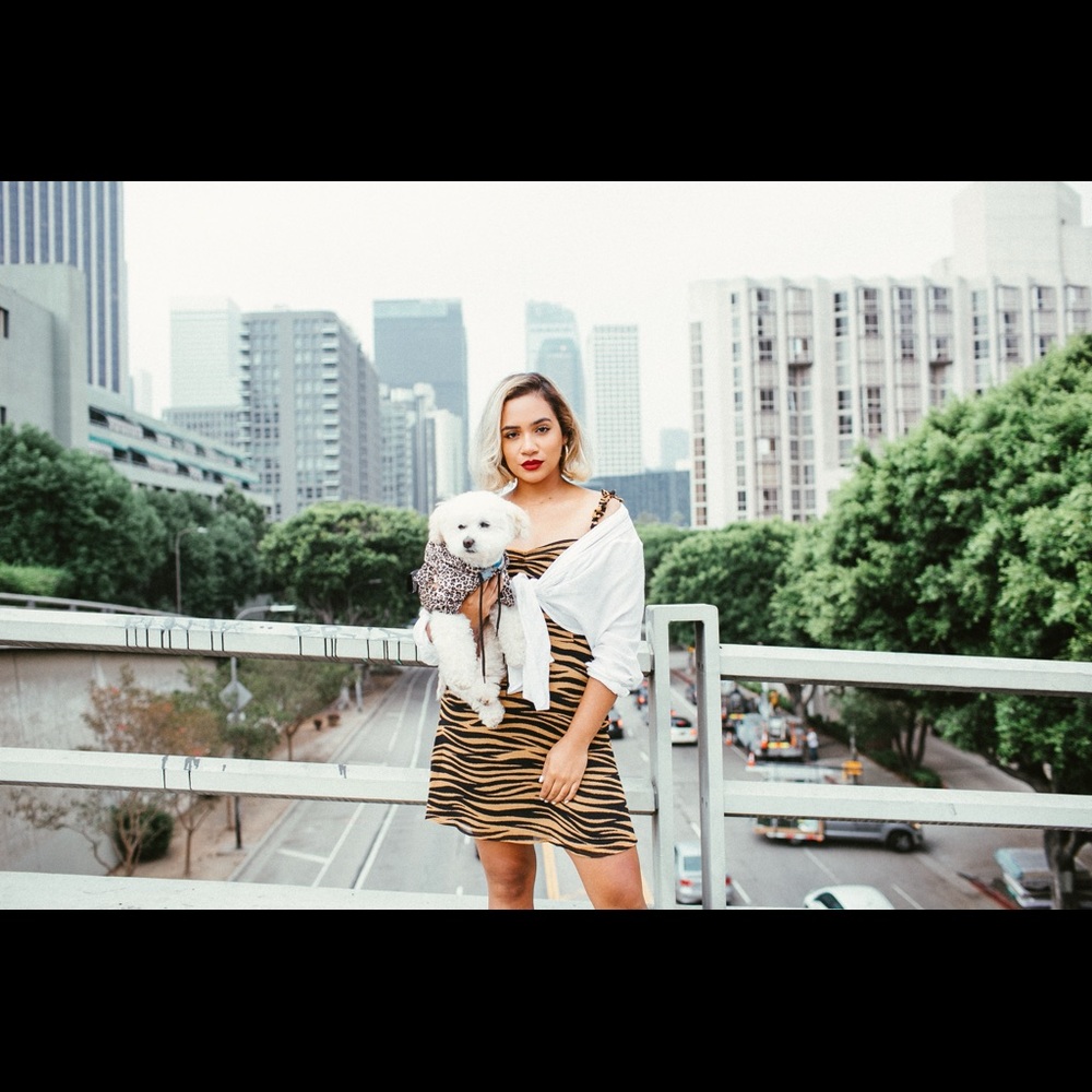 All in Favor dress in animal print